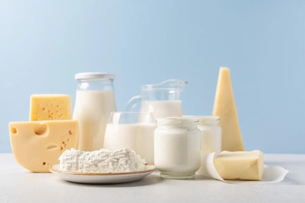 데어리텍 국제 낙농기술 전시회 2024 (DairyTech)