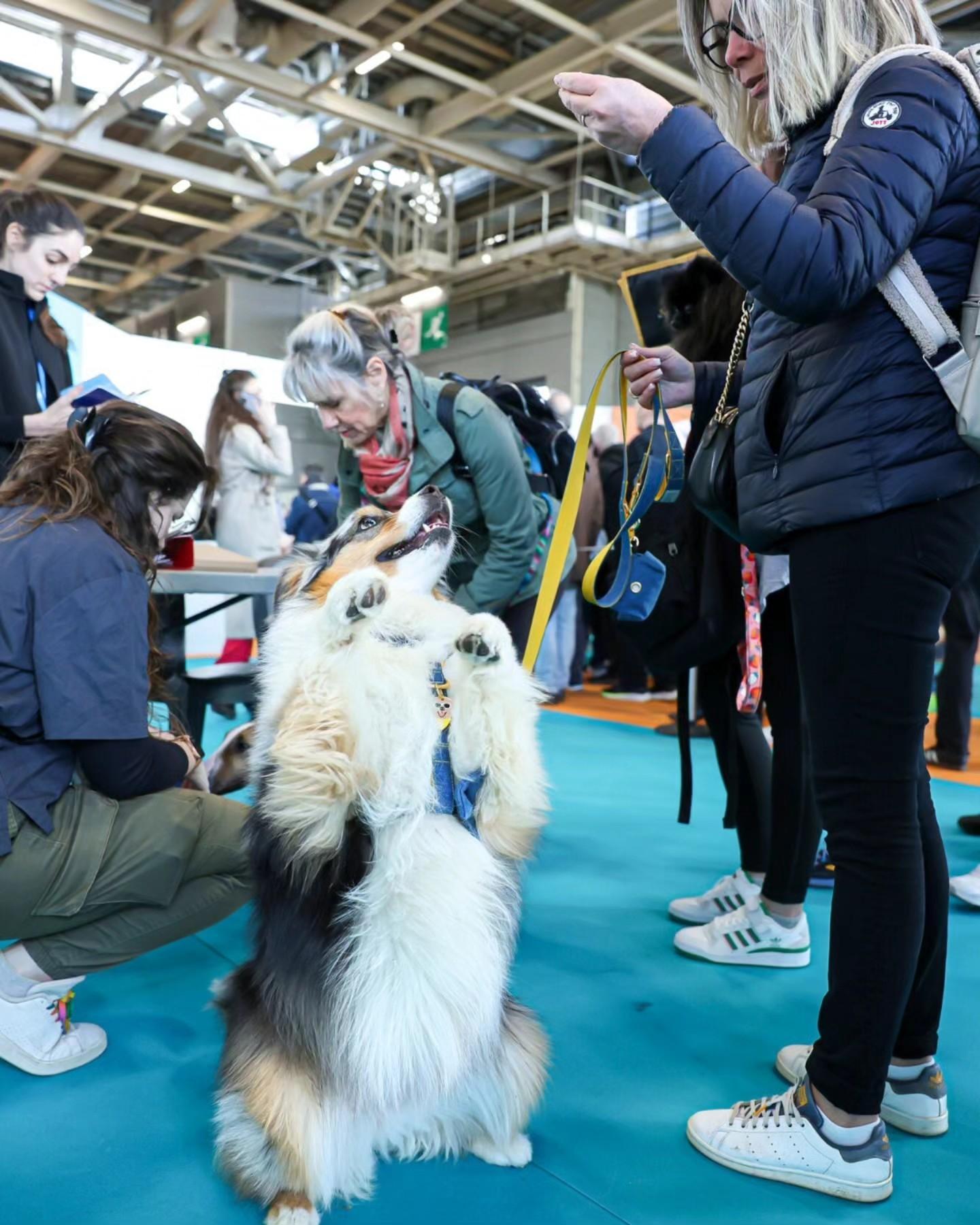 엑스포주 파리 2026 (EXPOZOO)