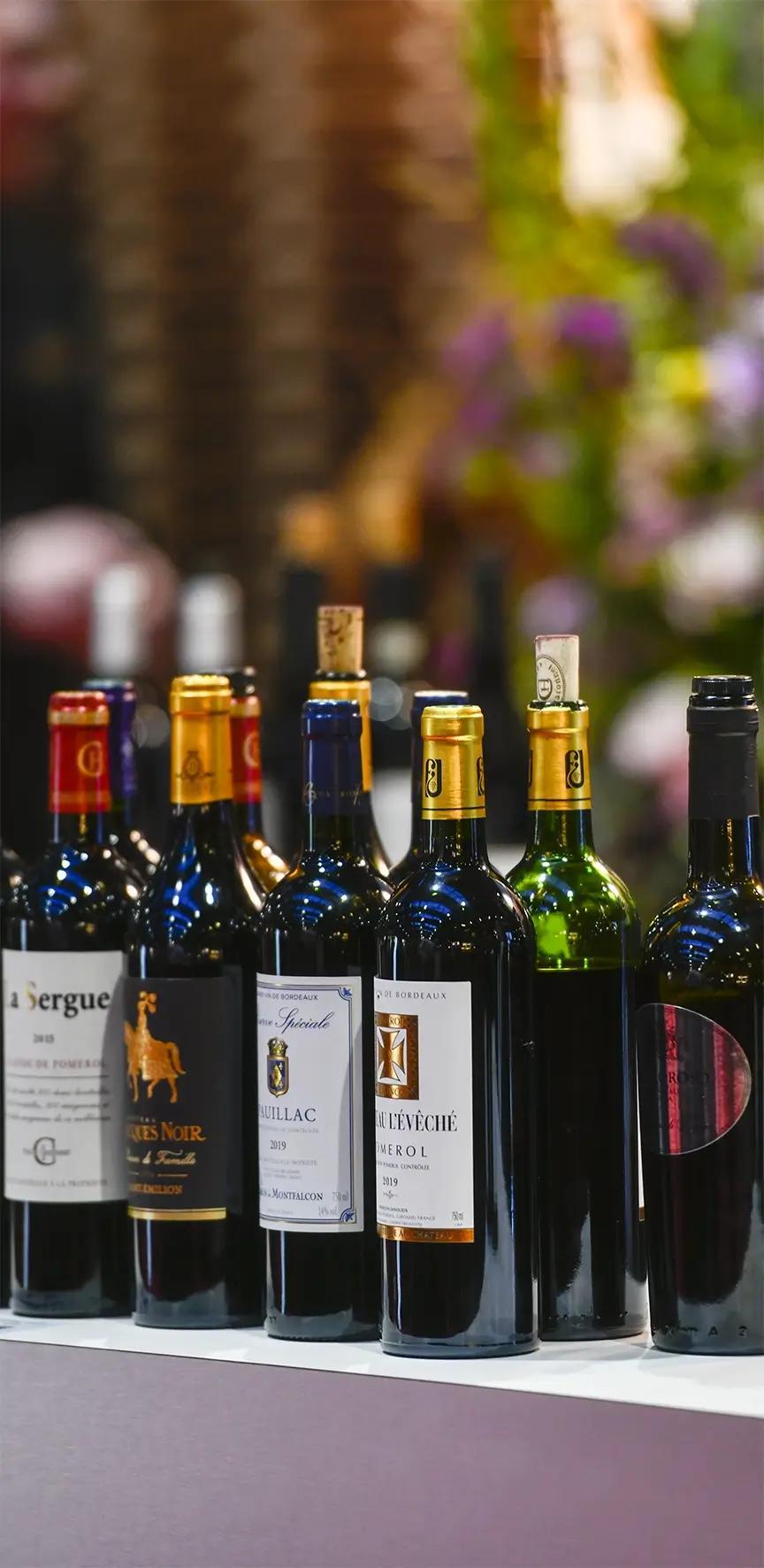 EXPOVINA Primavera