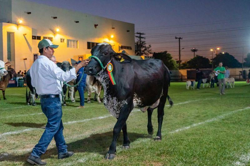 볼리비아 농업 및 축산업 박람회 2024 (AGROPECRUZ)