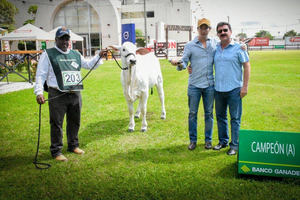  볼리비아 농업 및 축산업 박람회 2024 (AGROPECRUZ)