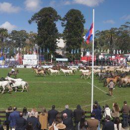 우루과이 프라도 국제농축산박람회 2024 (EXPO PRADO)