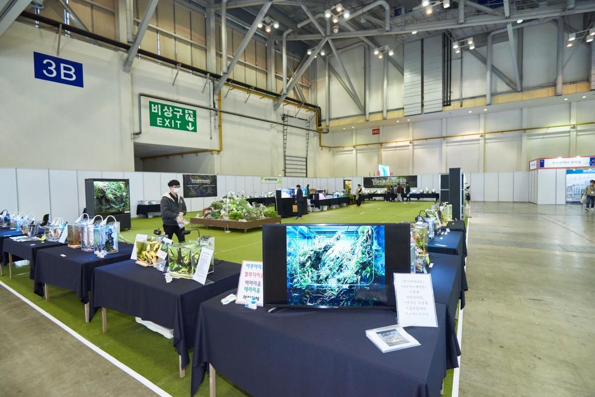 부산 국제 수산 엑스포 2024