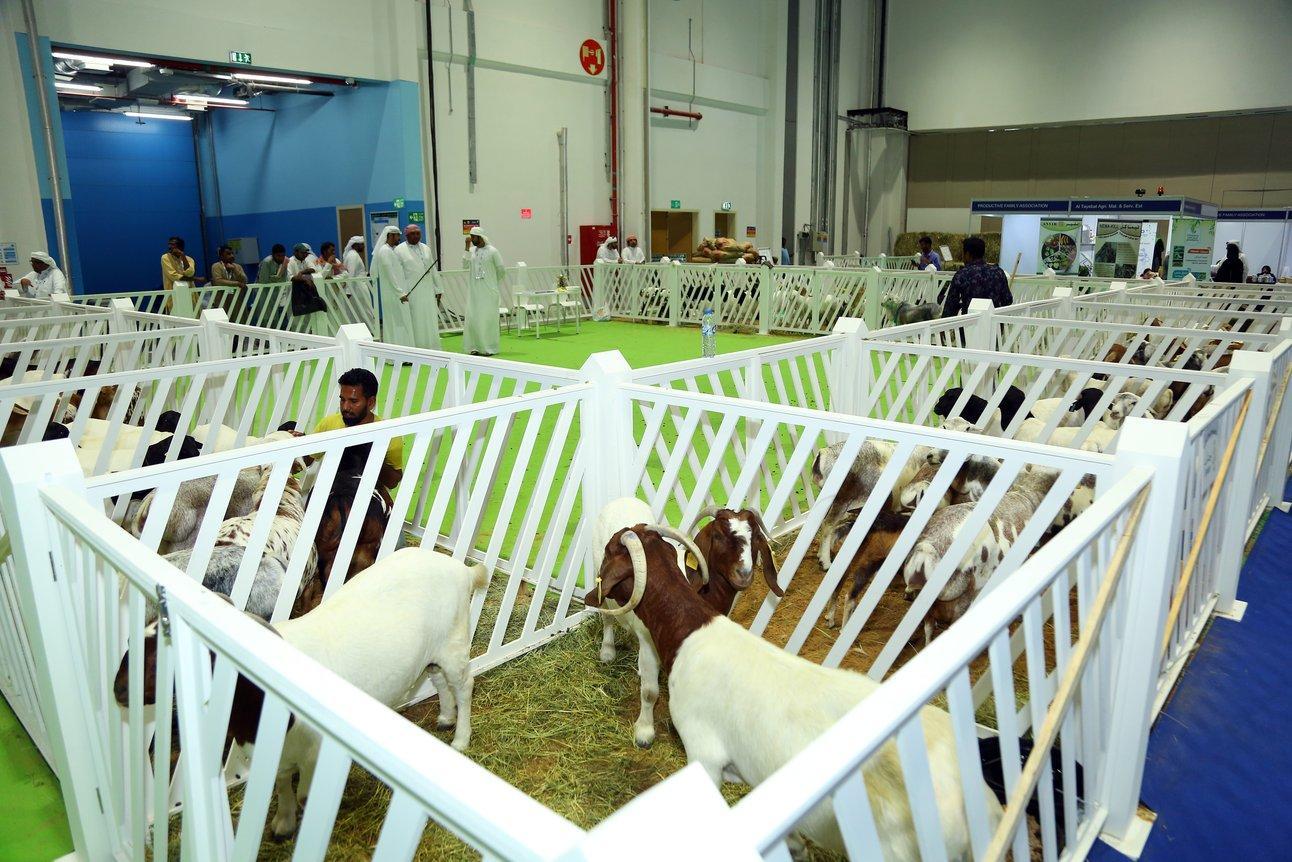 두바이 축산업 및 농업 기술 전시회 2025 (AgroFarm Middle East)