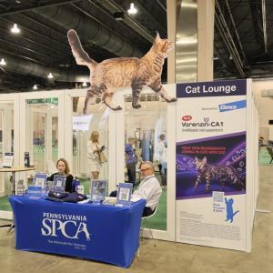 미국 수의내과학회 2025(ACVIM Forum)