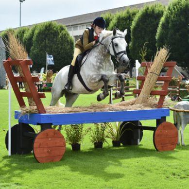 더블린 국제 승마 페스티벌 2025 (Dublin Horse Show)