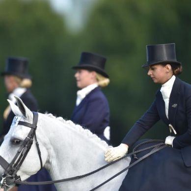 더블린 국제 승마 페스티벌 2025 (Dublin Horse Show)