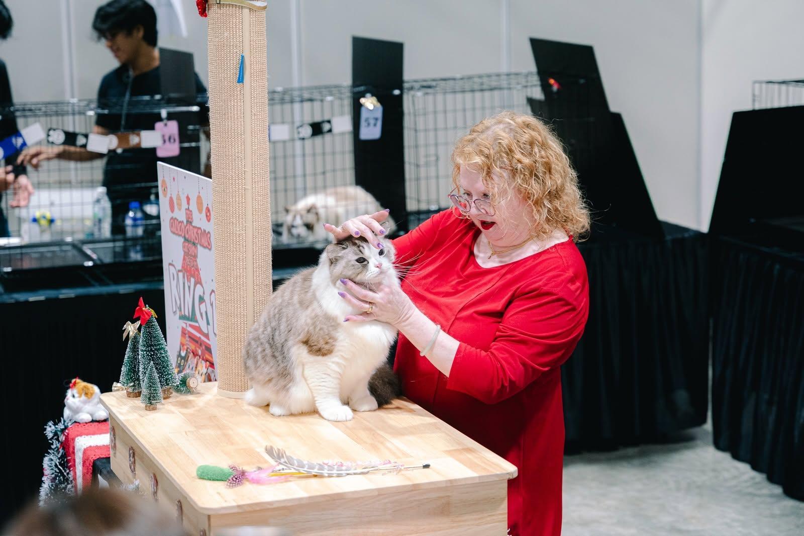 싱가포르캣페스티벌 2026 (Singapore Cat Festival)
