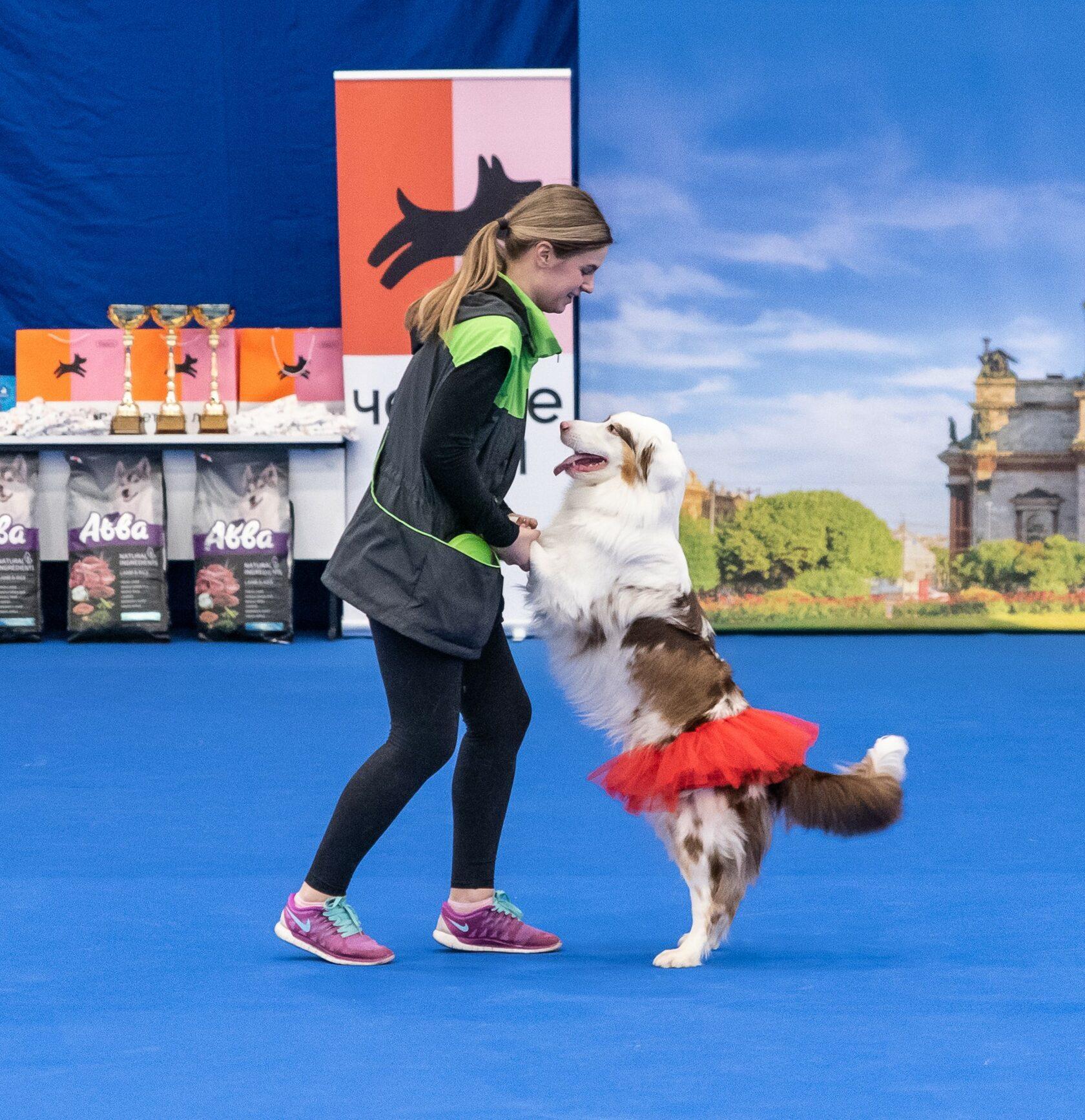 주쇼 상트페테르부르크 국제 반려동물 박람회 2026 (동계) (ZOOSHOW.Winter)