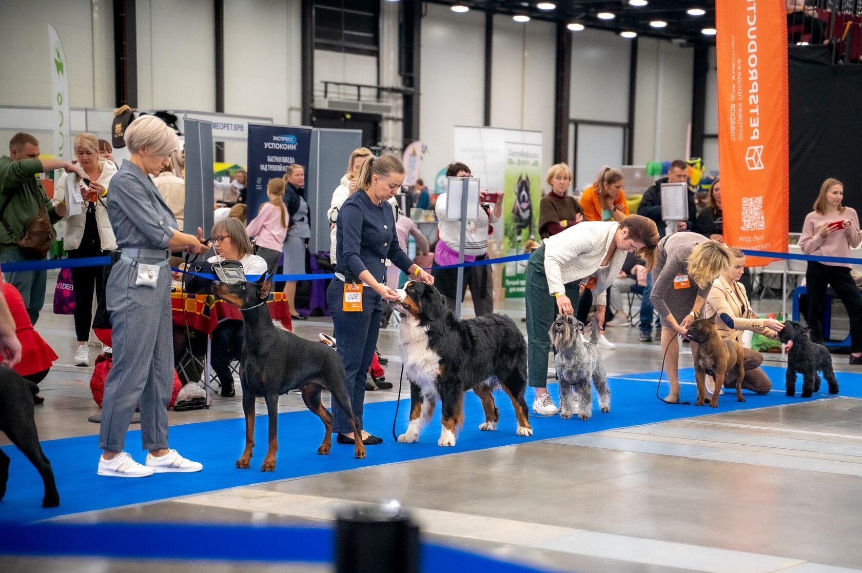 주쇼 상트페테르부르크 국제 반려동물 박람회 2026 (동계) (ZOOSHOW.Winter)