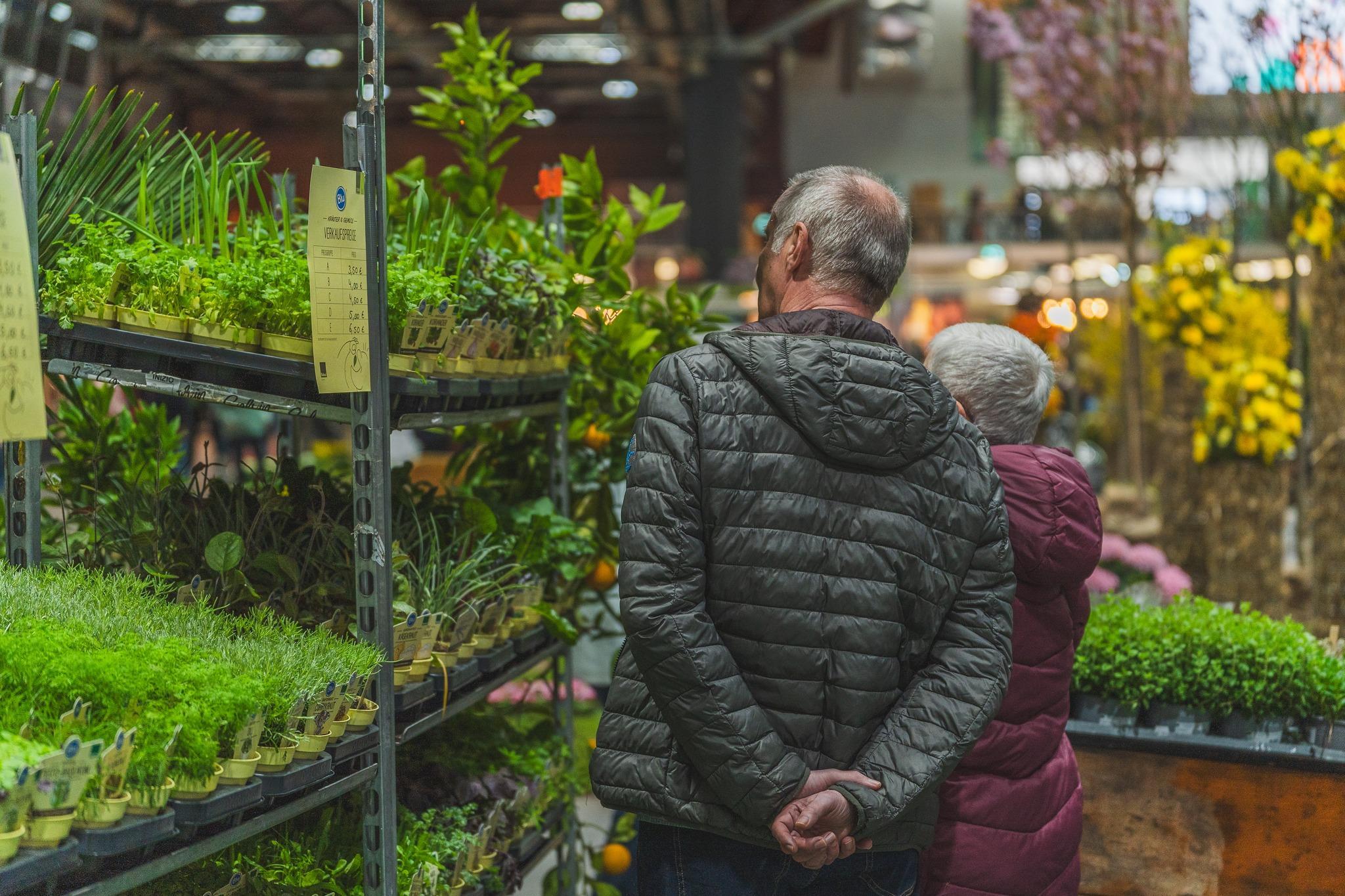 켐니츠 봄 정원 박람회 2025 (Chemnitzer Frühling)