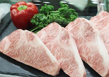 일본 국제 식음료 박람회 2025 (동계) (JFEX Winter)