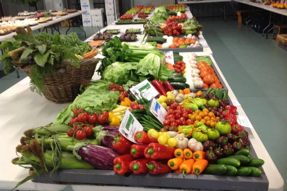 와너루 농업 쇼 (Wanneroo Agricultural Show)