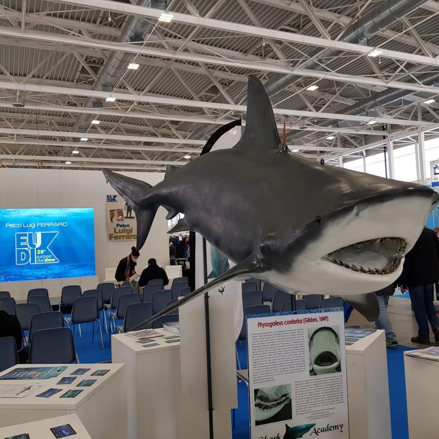 볼로냐 스쿠버다이빙 박람회 2025 (Eudishow)