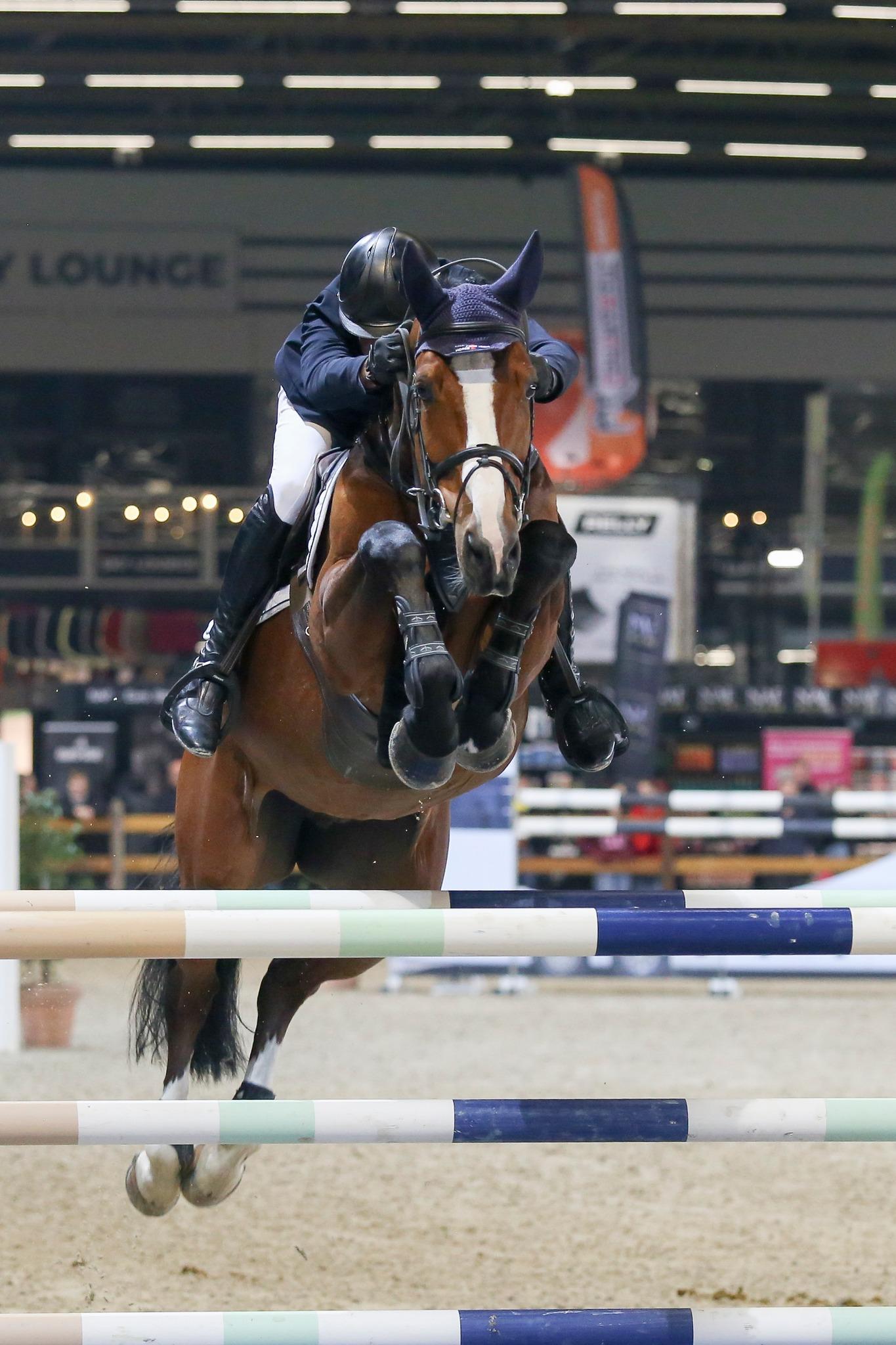 플랜더스 국제말박람회 2026 (Flanders Horse Expo)