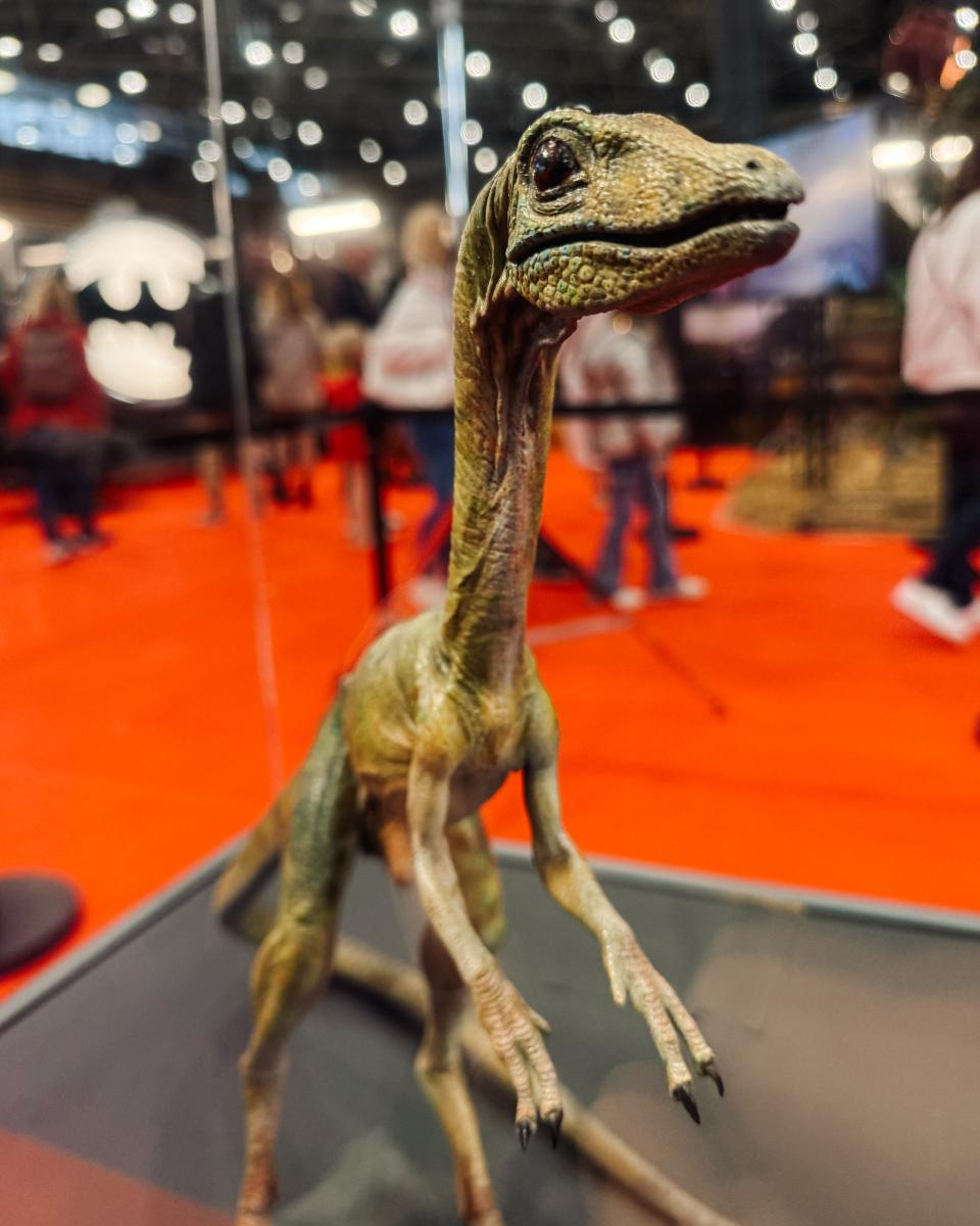 리옹 국제생활박람회 2026 (Foire de Lyon)