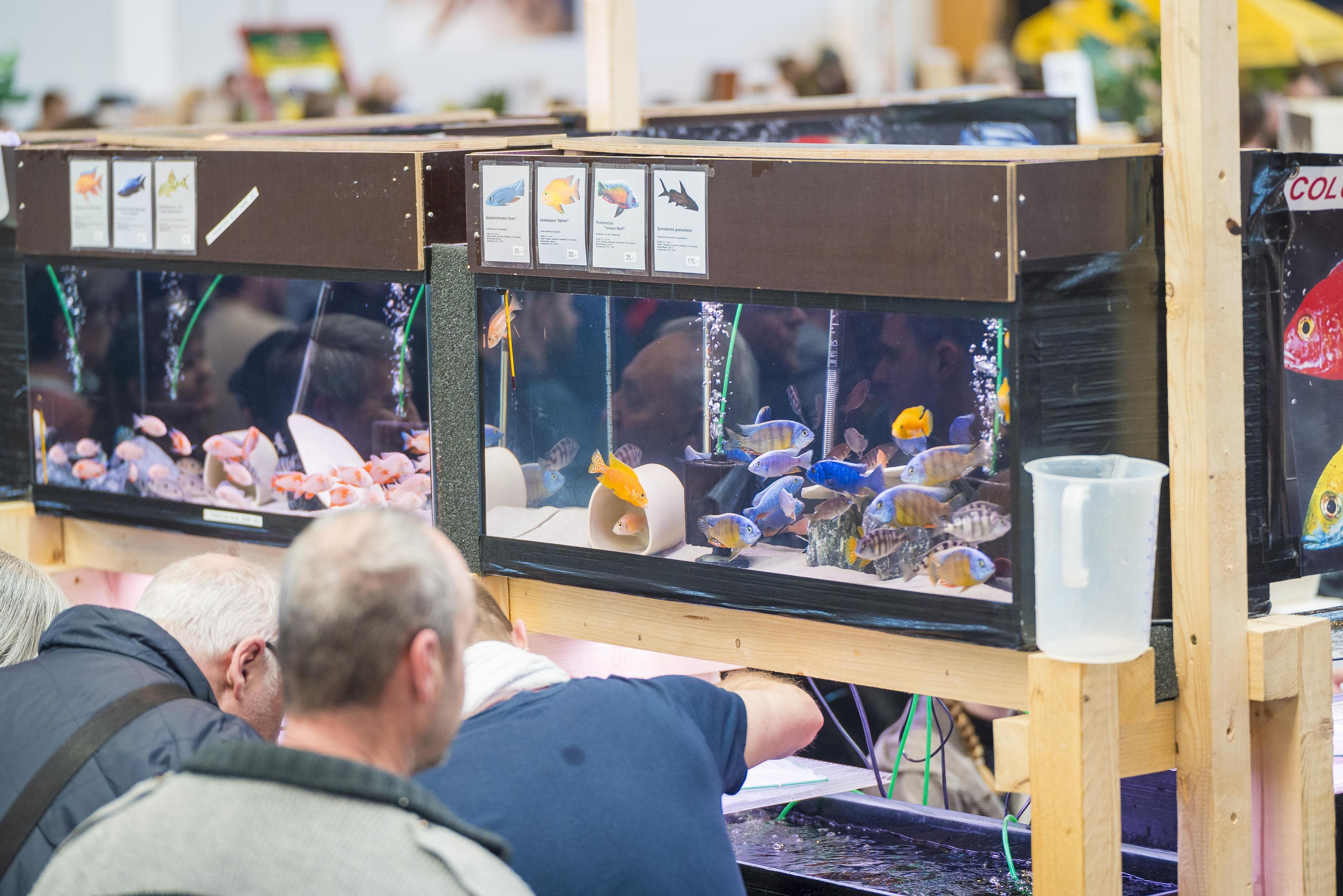 독일 국제 수중생태 및 낚시 박람회 2025