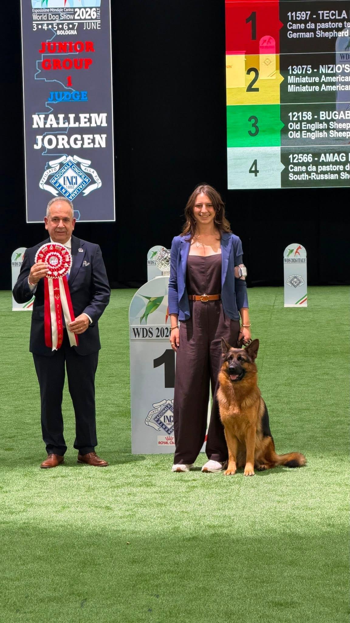 세계 견종 전시회 2026 (World Dog Show, WDS)