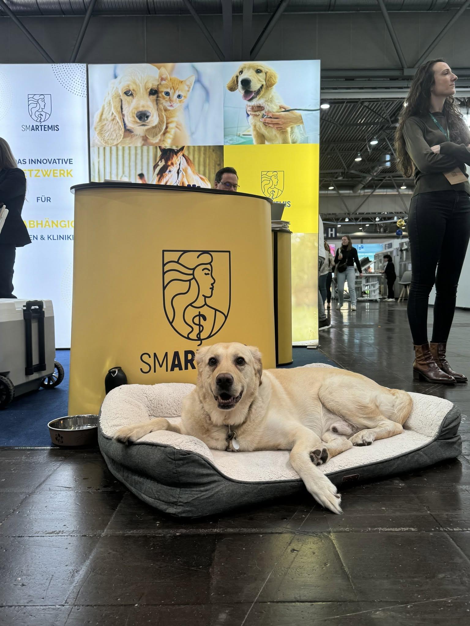 라이프치히 수의사 학술대회 2028 (Leipziger Tierärztekongress / Leipzig Veterinary Congress)